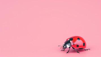 Red Ladybug on Pink Background - Minimalist Insect Photography with Vibrant Colors, Perfect for Spring and Nature-Themed Designs photo