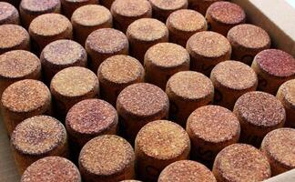 Wine corks lined up in neat rows closeup top view texture background photo