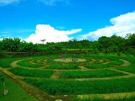 a circular garden with a bench in the middle photo