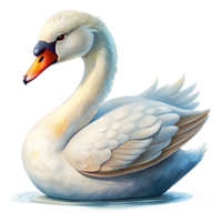 swan isolated on transparent background png
