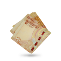 3D of Double 200 South African rand notes with shadows on transparent background png