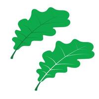 Set of Oak Leaf vector