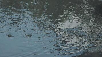 Dark water with ripples on the surface. Defocus blurred transparent white colored clear calm water surface texture with splashes and bubbles. Water waves with shining pattern texture background. video