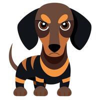 Dapple Dachshund dog angry kawaii vector