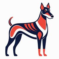 Danish Farmdog dog learns kawaii vector