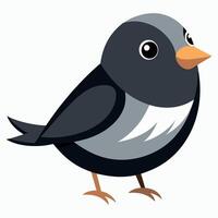 Dark-Eyed Junco bird learns kawaii vector