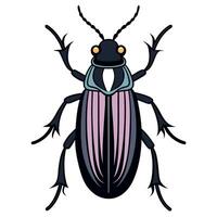 Darkling Beetle bug sleeps kawaii vector