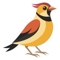 Dickcissel bird learns kawaii vector