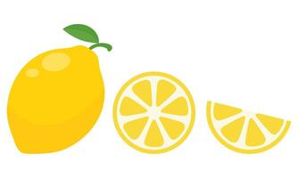 Lemon flat icons isolated on white background. vector