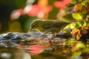 Green warbler eating in the natural habitat photo
