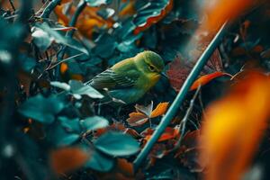 A Small Green Bird Resting in a Nest Hidden in Lush Foliage photo