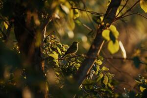 A Small Bird Perched on a Branch Amidst Lush Green Foliage photo
