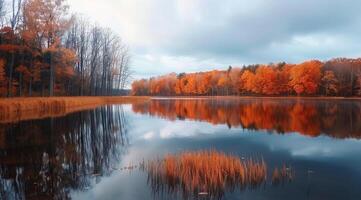 Autumn Reflections Over Calm Lake With Colorful Trees In Misty Mountains photo