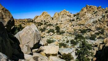 Desert stone landscape Joshua Tree, Big Rocks and Yucca Brevifolia Mojave Desert, Joshua Tree National Park, California photo