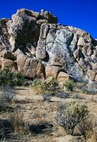 Desert stone landscape Joshua Tree, Big Rocks and Yucca Brevifolia Mojave Desert, Joshua Tree National Park, California photo