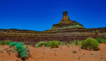 Layered geological formations of red rocks in Canyonlands National Park is in Utah near Moab. photo