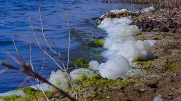 Environmental problem and pollution, eutrophication of a natural reservoir, dirty foam on the shore, Tiligul estuary photo