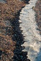 Winding strip of Ice on the shore of the Tiligul Estuary, storm emissions of algae and mollusks, Ukraine photo