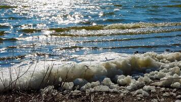 Environmental problem and pollution, eutrophication of a natural reservoir, dirty foam on the shore, Tiligul estuary photo