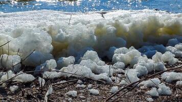 Environmental problem and pollution, eutrophication of a natural reservoir, dirty foam on the shore, Tiligul estuary photo