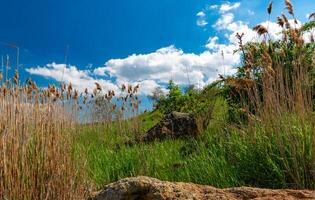 Natural spring landscape of green steppe on the shore of the Khadzhibey estuary photo