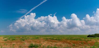 Natural landscape, White cumulus clouds over a wheat field, Ukraine photo