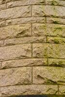 Elemental architectural design of the masonry, on which unicellular green algae grow on the walls at Princeton University. photo