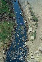 Cracked earth, drying up small river in the steppe zone in southern Ukraine photo
