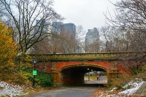 footbridge inside Central Park in New York, Manhattan, USA photo