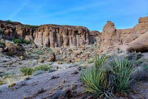 Desert landscape with cacti, Mountain erosion formations of red mountain sandstones, Arizona photo