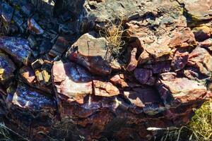 The trunks of petrified trees, multi-colored crystals of minerals. Petrified Forest National Park, Arizona photo