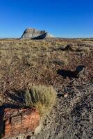 The trunks of petrified trees, multi-colored crystals of minerals. Petrified Forest National Park, Arizona photo