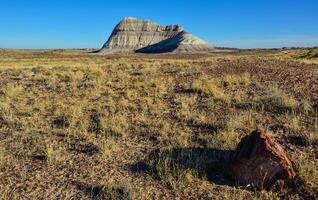 The trunks of petrified trees, multi-colored crystals of minerals. Petrified Forest National Park, Arizona photo