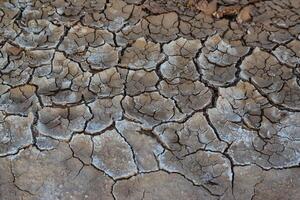 Cracked red clay and white salt on the surface in a dried riverbed in the desert of New Mexico, USA photo