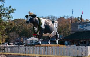SAVANNAH, USA - DECEMBER 02, 2011 An installation in the form of a large black and white cow photo