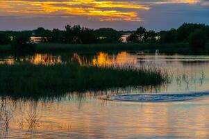 Beautiful sunset over the swamp in Louisiana, the reflection of clouds in the water, USA photo