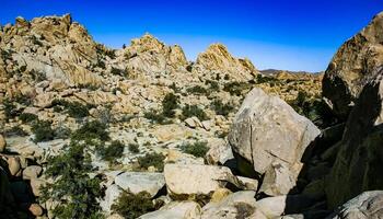 Desert stone landscape Joshua Tree, Big Rocks and Yucca Brevifolia Mojave Desert, Joshua Tree National Park, California photo