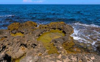 Flat rocky shore with many littoral puddles rich in life, in the eastern Crimea, Black Sea photo