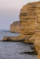 Cormorants rest on a steep bank of Pontic limestone in eastern Crimea photo