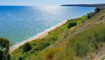 Blue-green algae bloom in the Dnieper-Bug estuary, eutrophication of water, Ukraine photo
