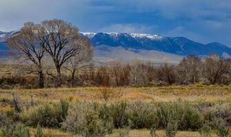 Mountain landscape, snow in the mountains in spring in Montana photo