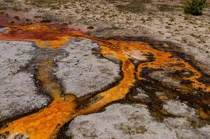 Boiling water bubbler Geyser. Active geyser with major eruptions. Yellowstone NP, Wyoming, US photo