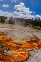 Boiling water bubbler Geyser. Active geyser with major eruptions. Yellowstone NP, Wyoming, US photo