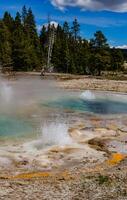 Boiling water bubbler Geyser. Active geyser with major eruptions. Yellowstone NP, Wyoming, US photo