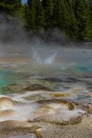 Boiling water bubbler Geyser. Active geyser with major eruptions. Yellowstone NP, Wyoming, US photo