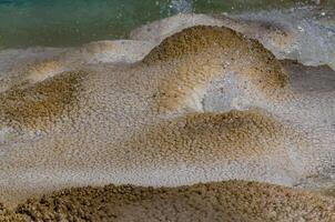 Boiling water bubbler Geyser. Active geyser with major eruptions. Yellowstone NP, Wyoming, US photo