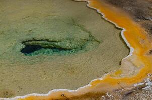 Algae-bacterial mats. Hot thermal spring, hot pool in the Yellowstone NP photo