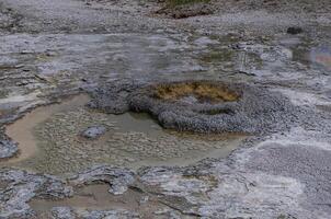 Boiling water bubbler Geyser. Active geyser with major eruptions. Yellowstone NP, Wyoming, US photo