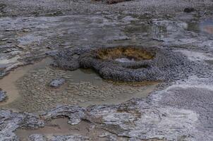 Boiling water bubbler Geyser. Active geyser with major eruptions. Yellowstone NP, Wyoming, US photo
