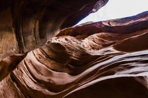 Eroded by water and wind cliffs in the canyon. Little Wild Horse Canyon. San Rafael Swell, Utah photo